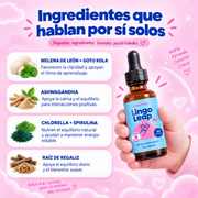 Lingo Leap - Despierta su Concentracion